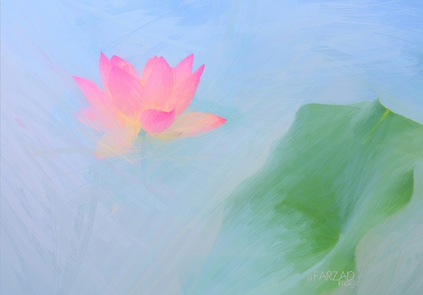 Pintura a óleo