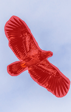 Original Image with Selection