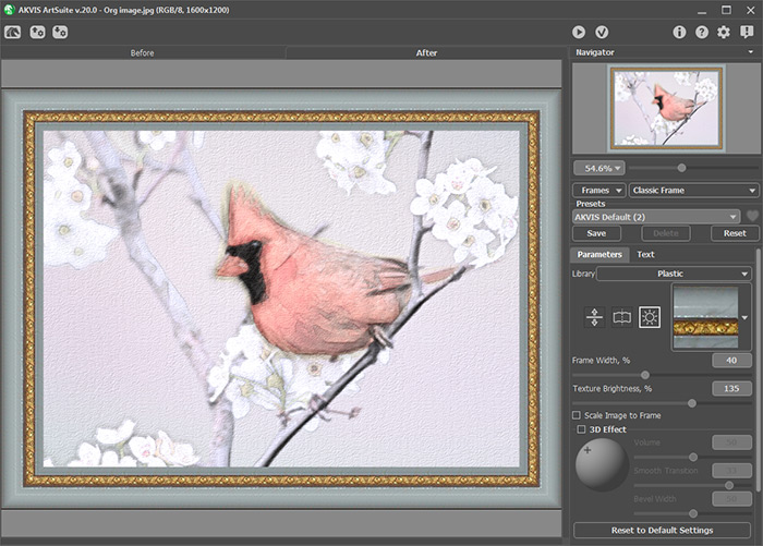 AKVIS ArtSuite Arbeitsbereich