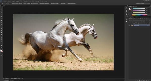 Изображение открыто в Photoshop