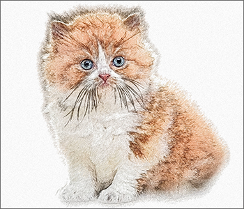 Zeichnung einer Katze