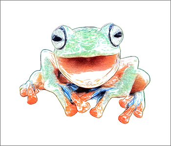 Zeichnung