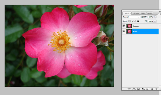 Copy the layer