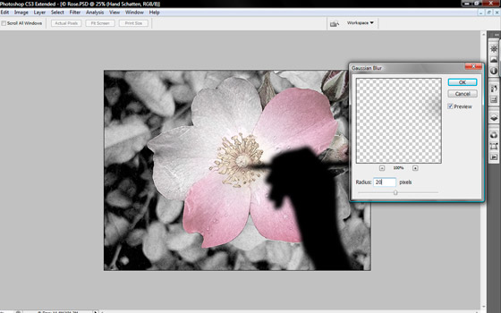 Gaussian blur