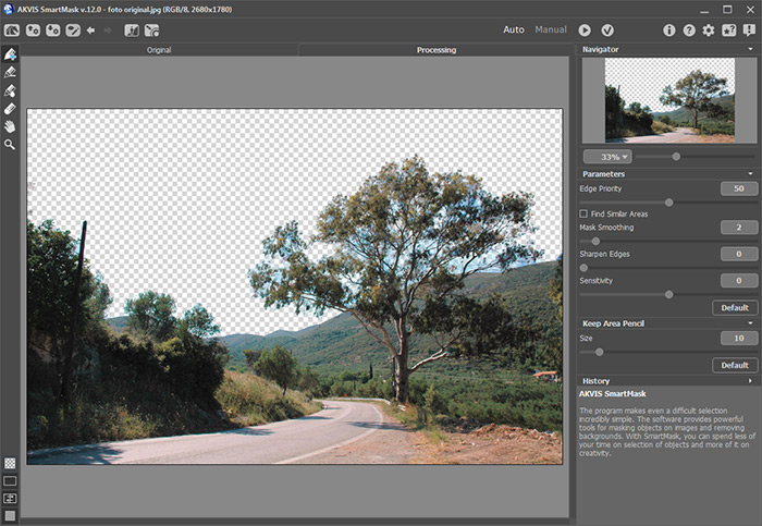 Result After Processing in Auto Mode