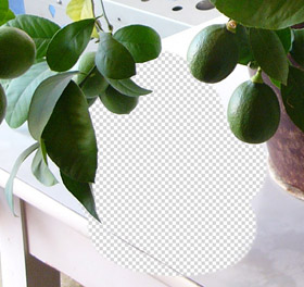 Image on trasparent background