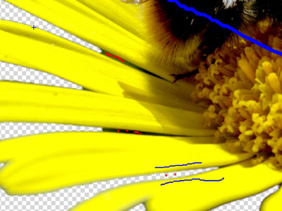 Cut out a flower