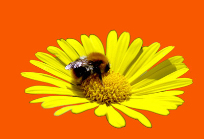 Selected area on a color background