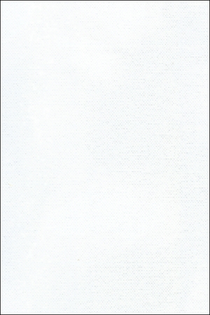 Watercolor Paper Texture