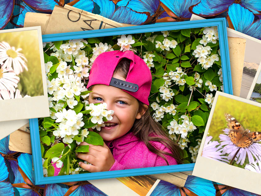 Paquete de mariposas