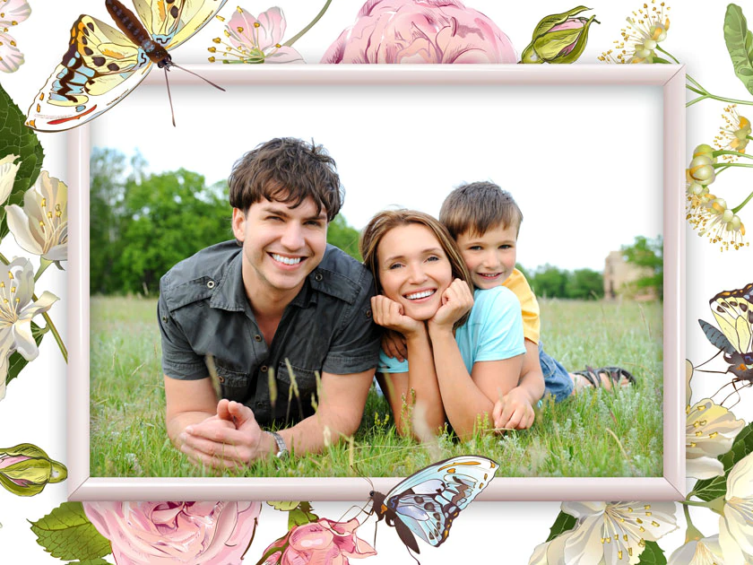 Paquete de mariposas