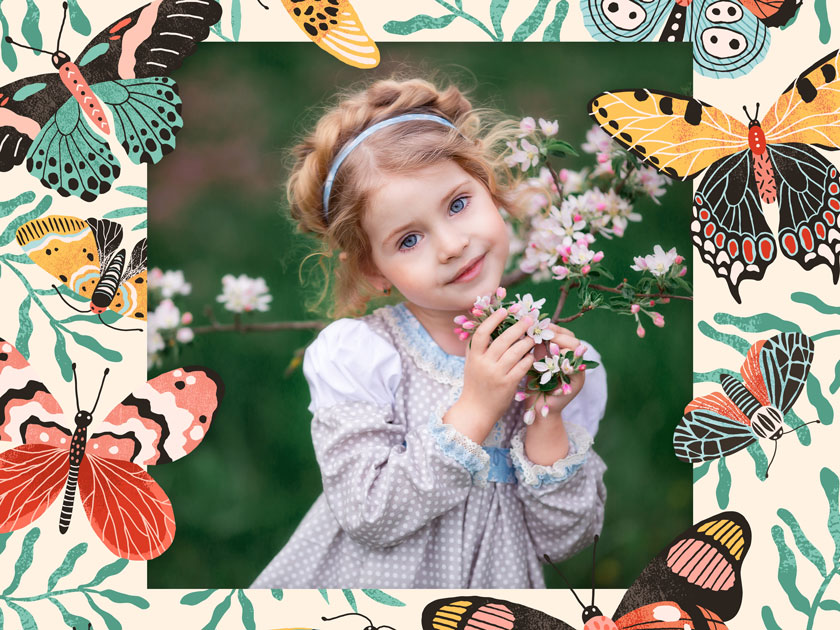 Paquete de mariposas