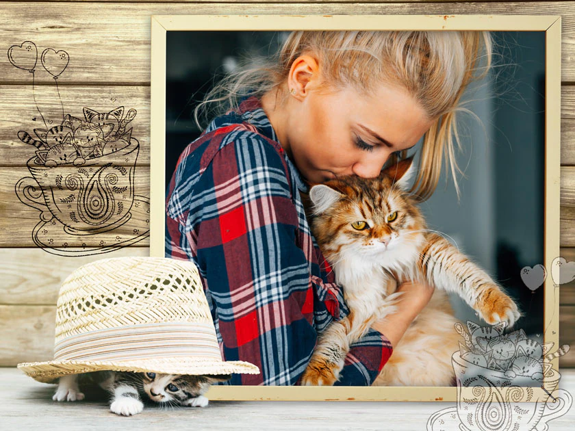 Cats Pack