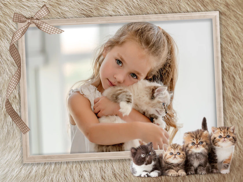Cats Pack