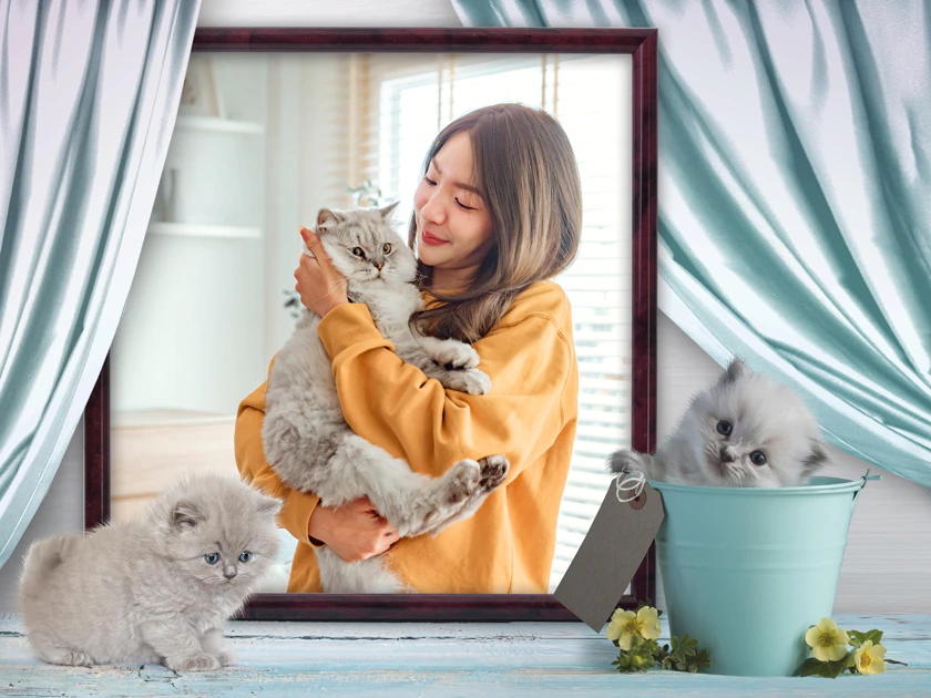Cats Pack