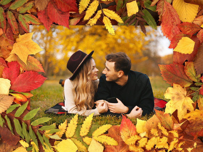 Feuilles d