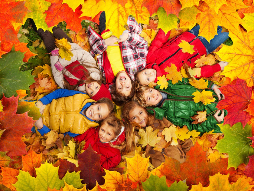 Feuilles d