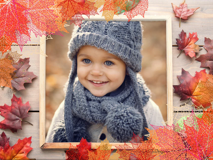 Feuilles d