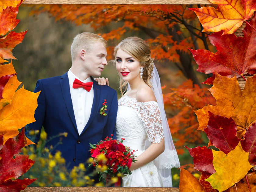 Feuilles d