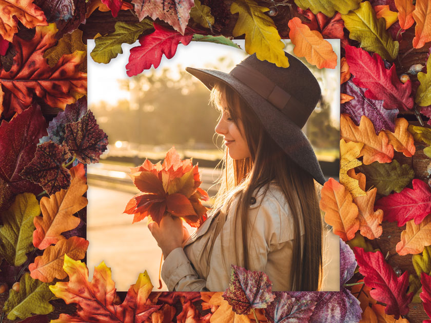 Feuilles d