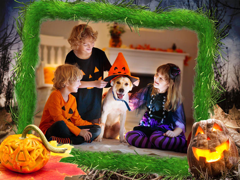 Paquete de Halloween