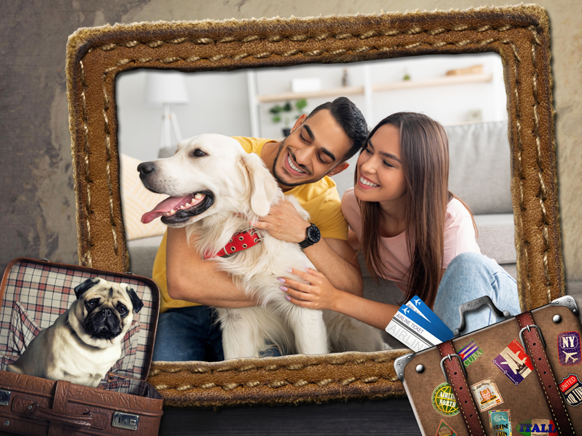 Pets Pack