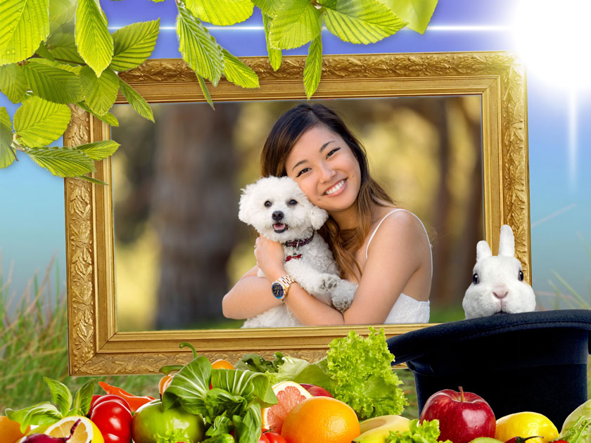 Pets Pack