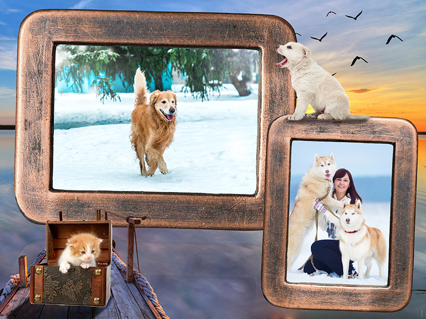 Pets Pack
