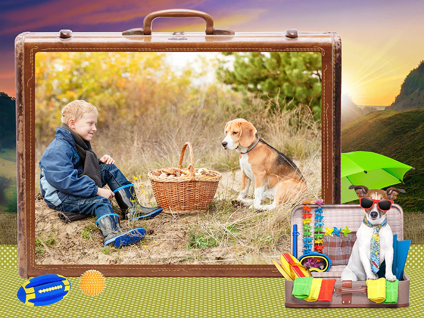 Pets Pack