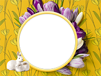 Cornici: Primavera in fiore