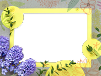 Cornici: Primavera in fiore