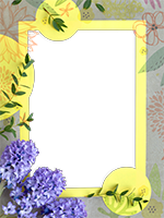 Cornici: Primavera in fiore