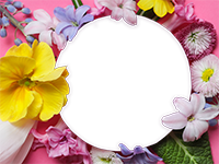 Cornici: Primavera in fiore