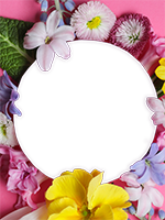 Cornici: Primavera in fiore
