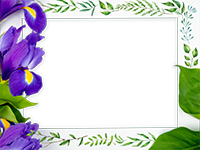 Cornici: Primavera in fiore