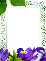 Cornici: Primavera in fiore