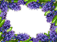 Cornici: Primavera in fiore