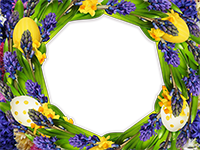 Cornici: Primavera in fiore