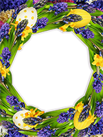 Cornici: Primavera in fiore