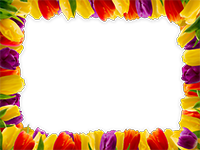 Cornici: Primavera in fiore