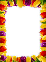 Cornici: Primavera in fiore