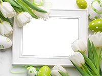 Cornici: Primavera in fiore