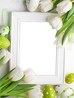 Cornici: Primavera in fiore