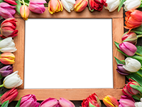 Cornici: Primavera in fiore