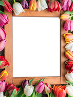 Cornici: Primavera in fiore