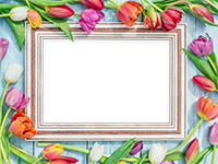 Cornici: Primavera in fiore