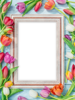 Cornici: Primavera in fiore
