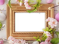 Cornici: Primavera in fiore