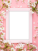 Cornici: Primavera in fiore