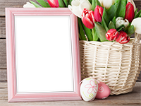 Cornici: Primavera in fiore